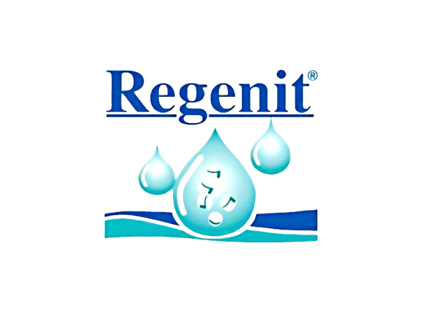 Logo regenit